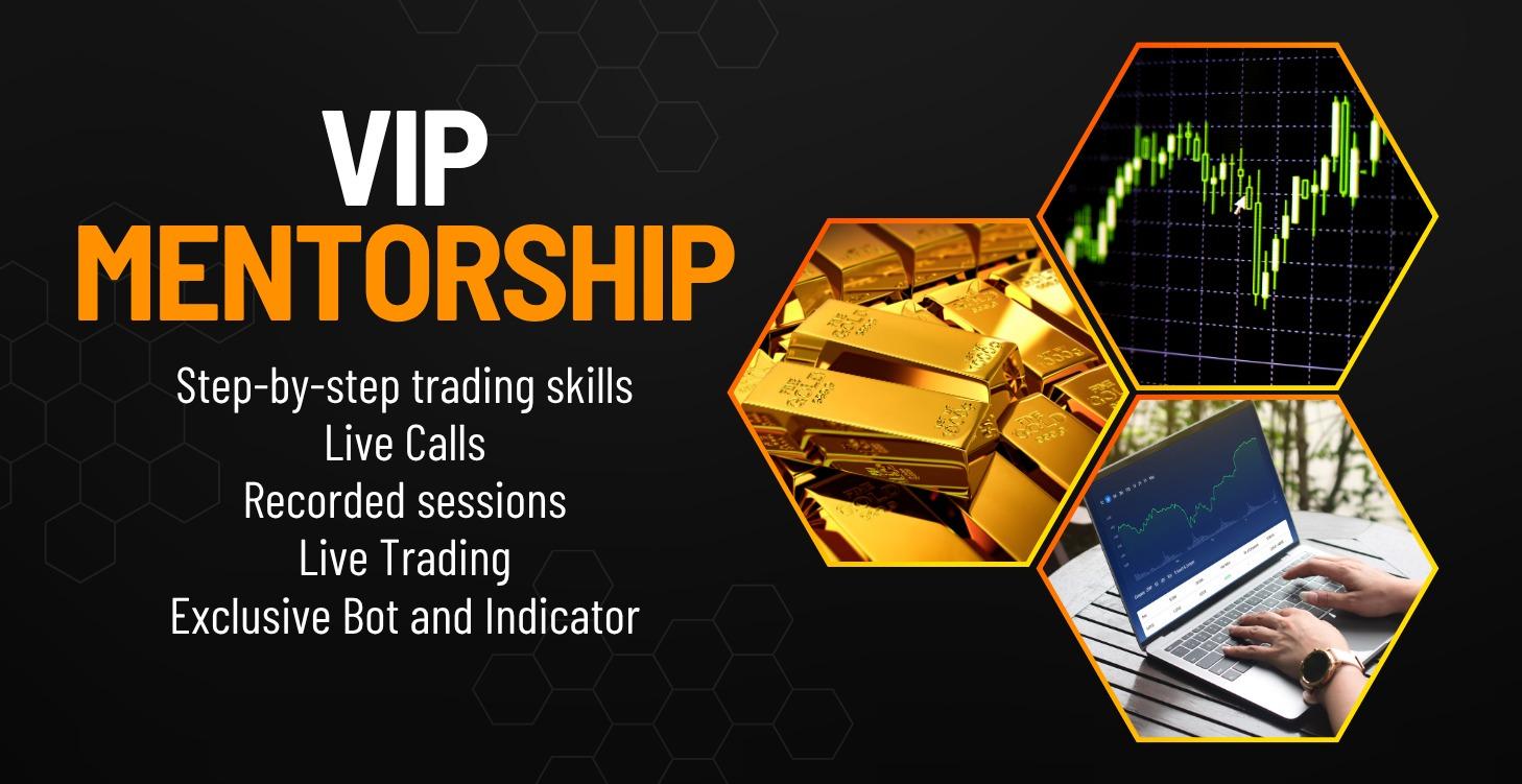VIP Mentorship