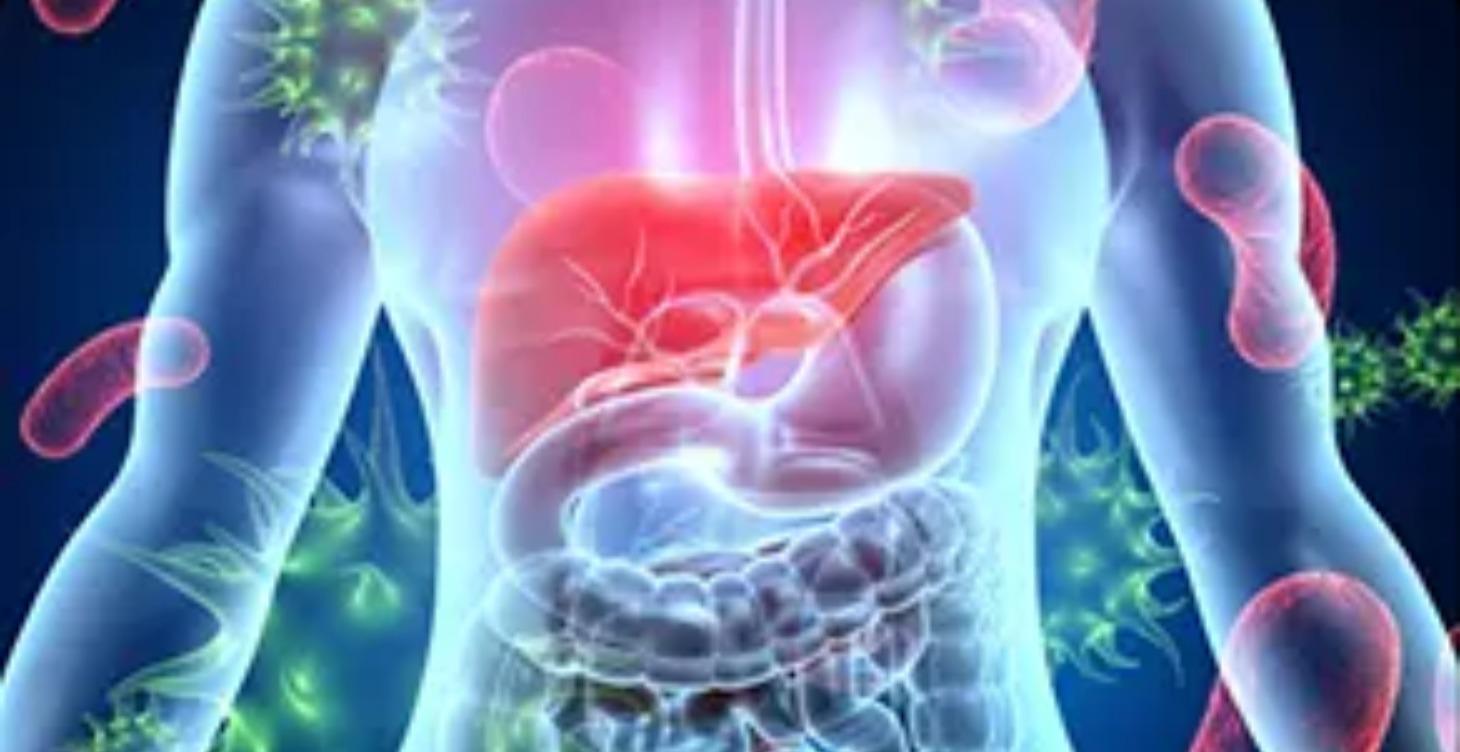 Lesson 2.1 - Immune System Fundamentals