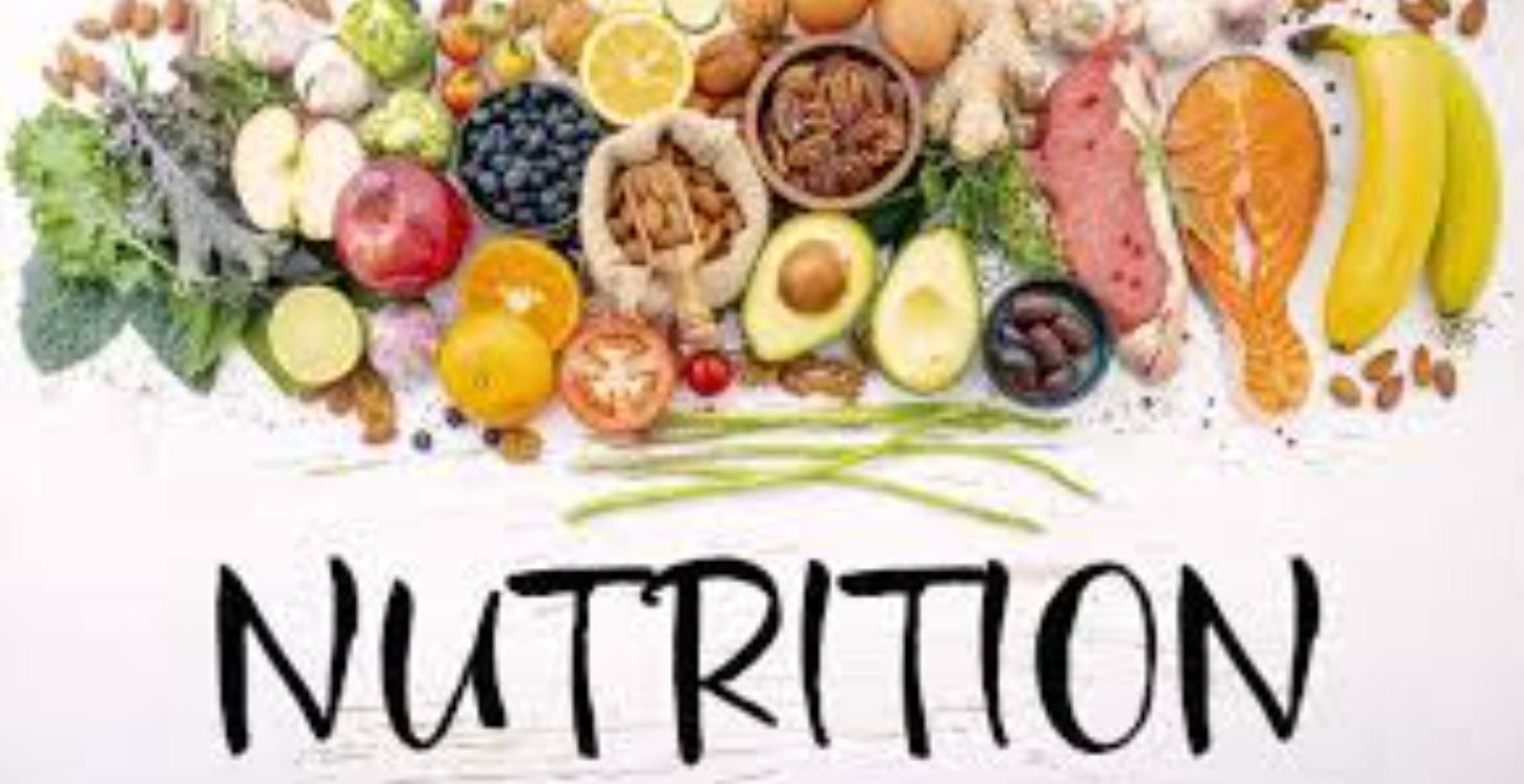 Lesson 6.3 - Immune-Supportive Foods