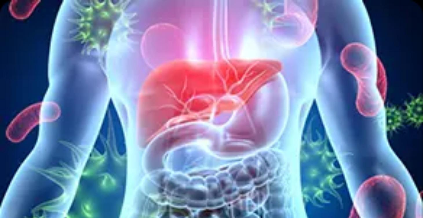 Lesson 2.2 - Inflammation