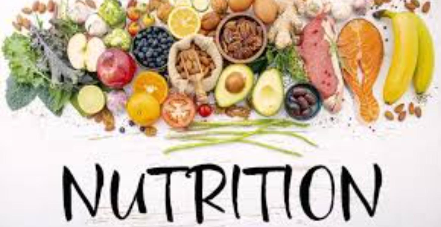 Lesson 6.1 - Nutrition for Autoimmunity