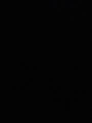 Jose llorenc Marin mayol