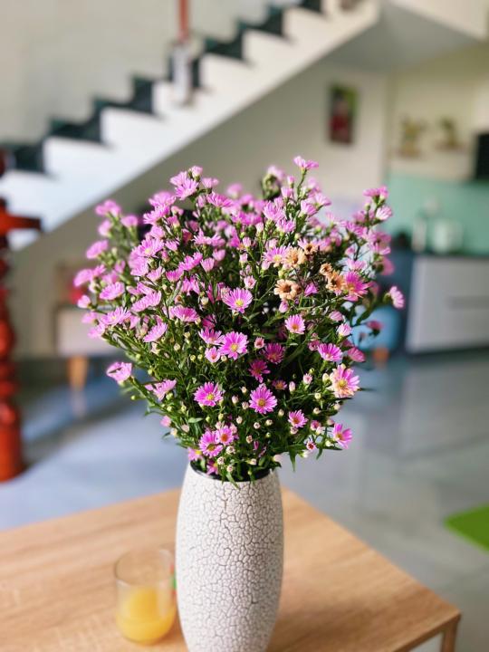 Rõ Mong Muốn!