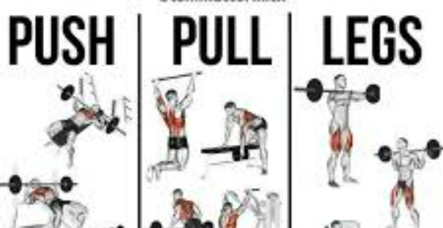 Upper/lower (PPL) split