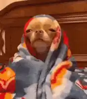 Big Plans for a Saturday Night!!