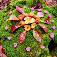 Christina Lara'Ana Ellerbrock