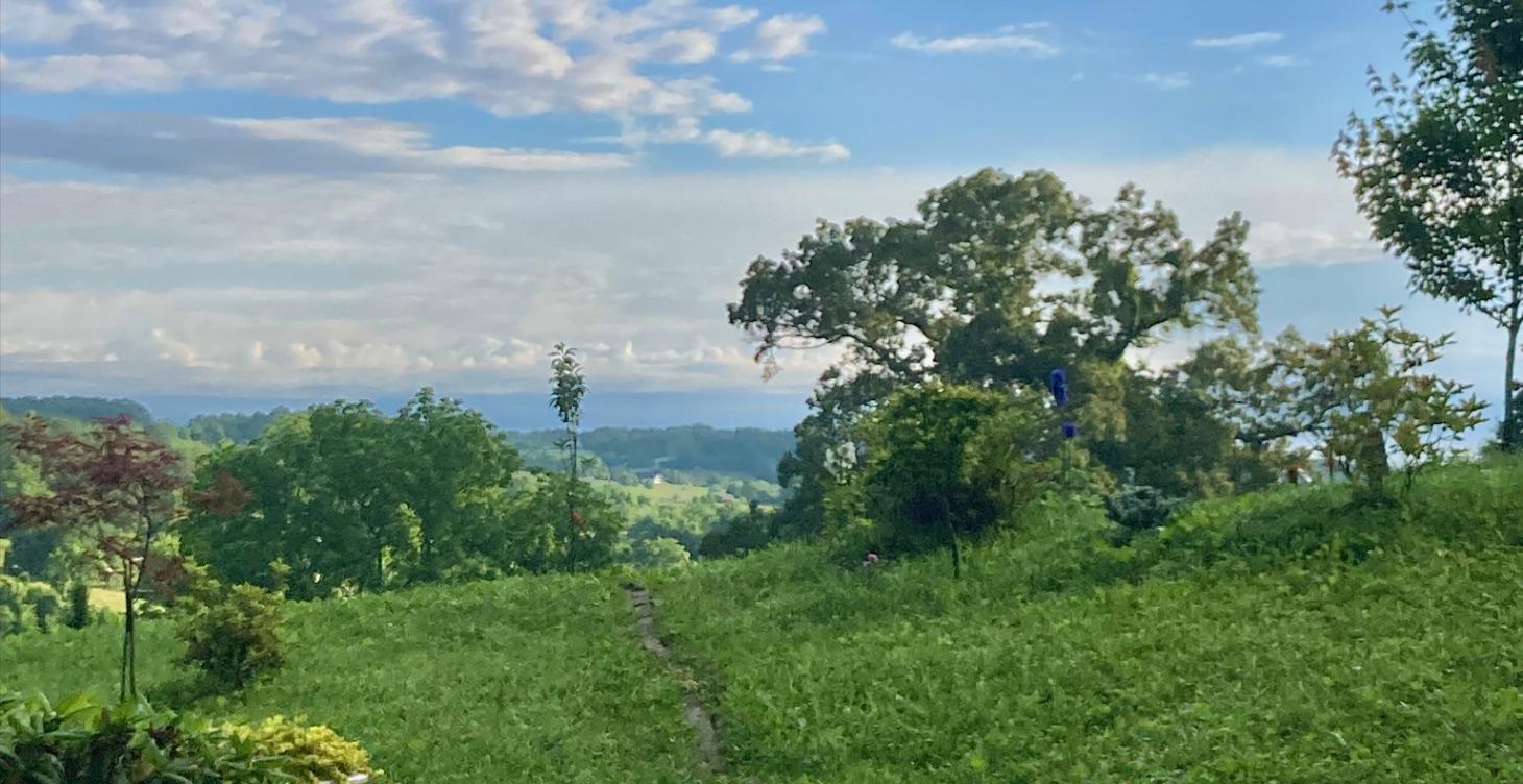 Property Purchase Checklist for Alternative Homes