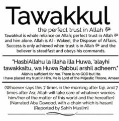 Sehreen Ash