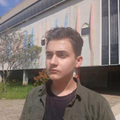 Diego Stocco