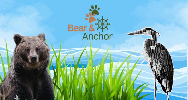 Bear & Anchor Collective 