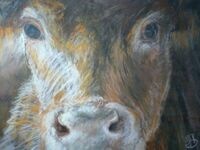 Janice Branley