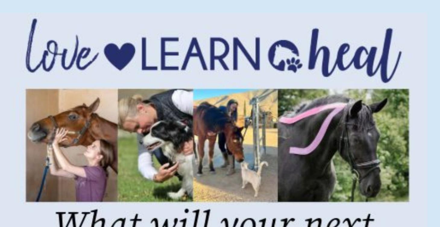 Love, Learn, Heal