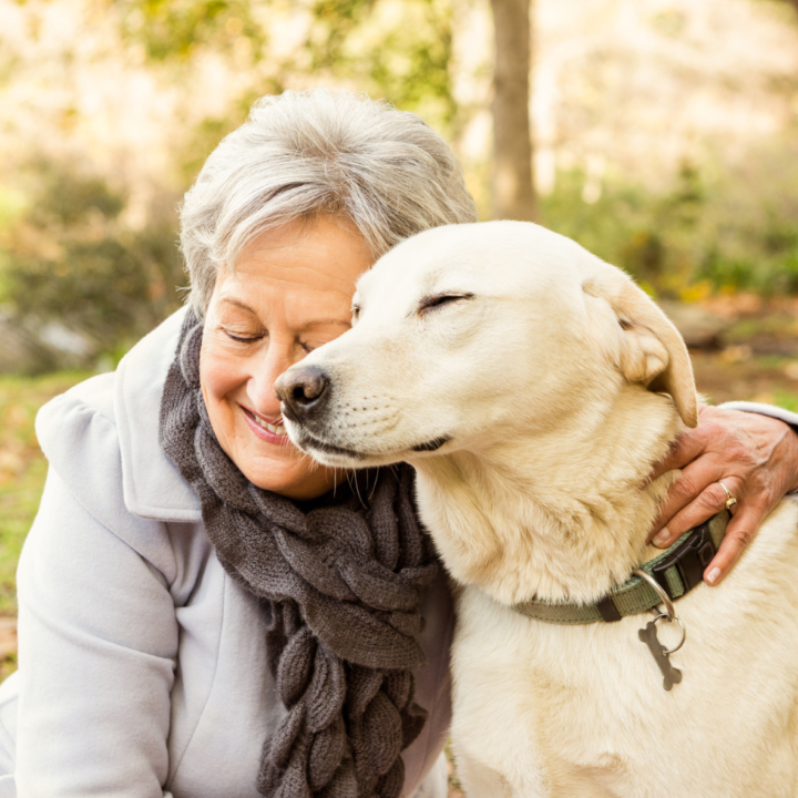 The Soul-Aligned Relationship: Why You and Your Animal Companion Are Meant for Each Other