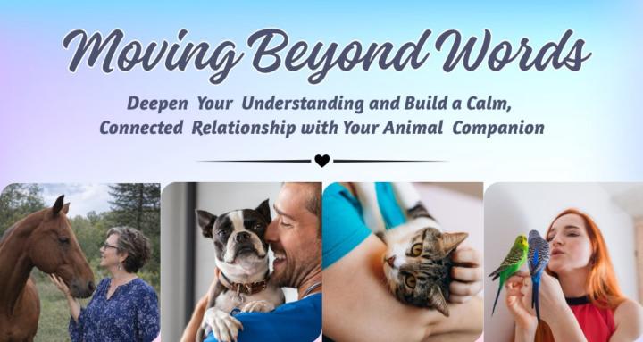 Moving Beyond Words