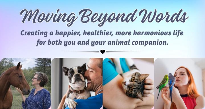 Moving Beyond Words