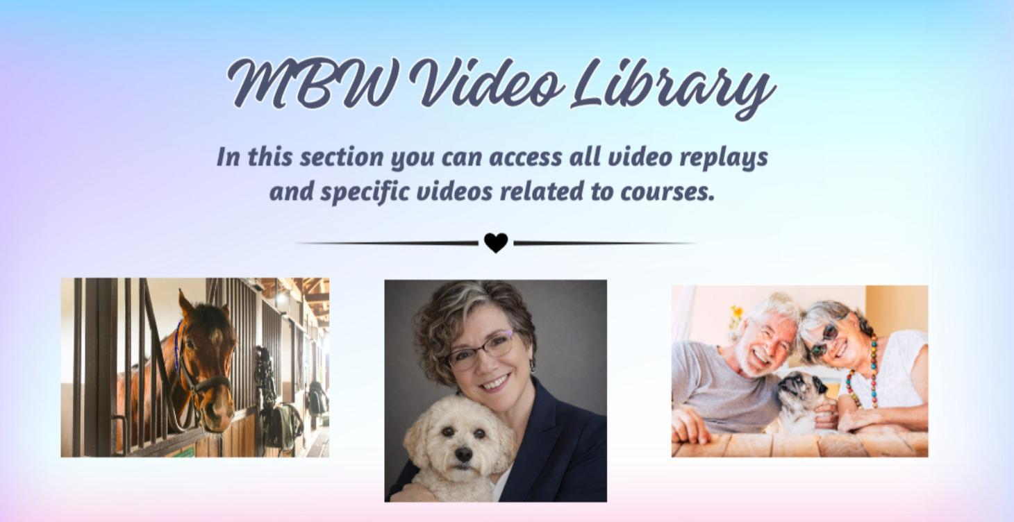 Video Library (including replays)