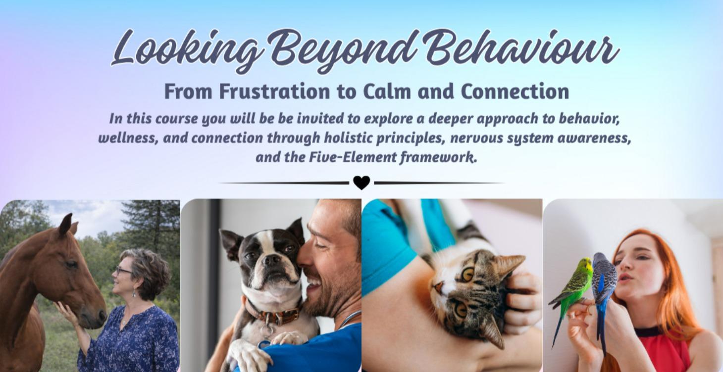 Looking Beyond Behavior