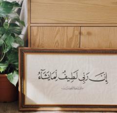 شريفة عبدالرحمن
