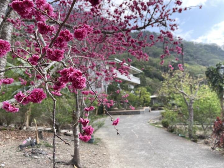 「讓交易配合生活，而不是讓生活追著交易」