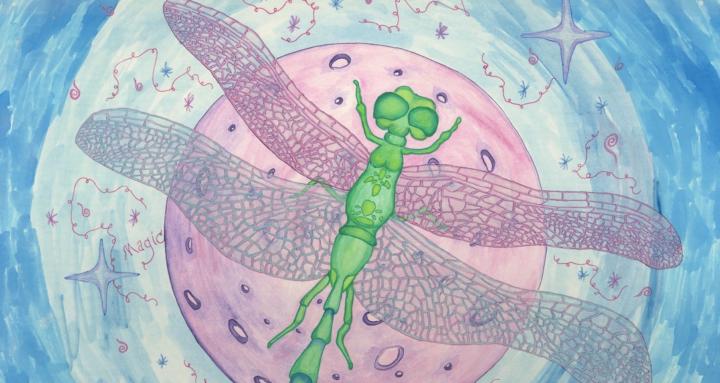 Awakened Life Collective