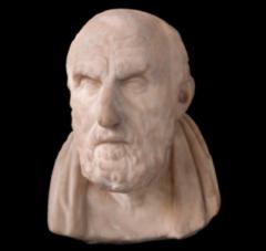 Stephan Brun