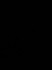 Aa L