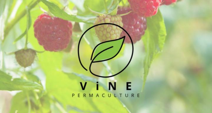 The Permaculture Vine