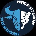 Logo <mark>Rope Flow</mark> Foundations