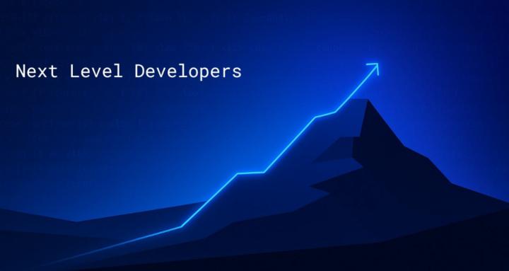 Next Level Developers