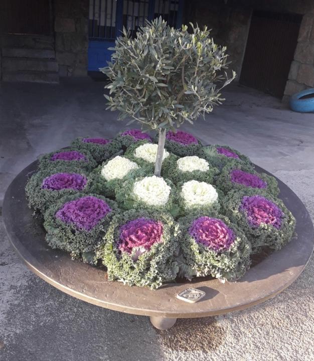 Blanca Manzanares gonzalez