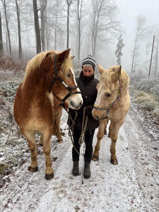 Anica Witt