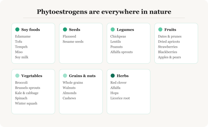 Did you know broccoli contains phytoestrogens?
