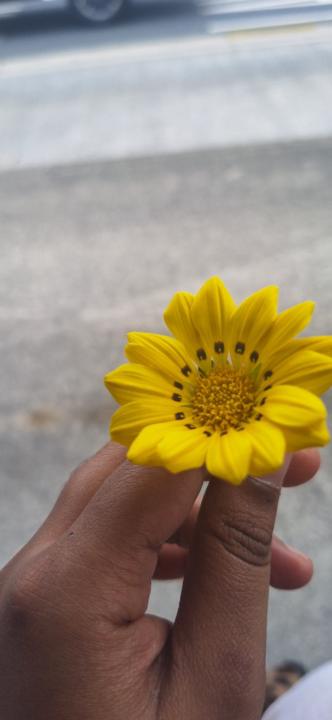 Mst sakiba binta Islam