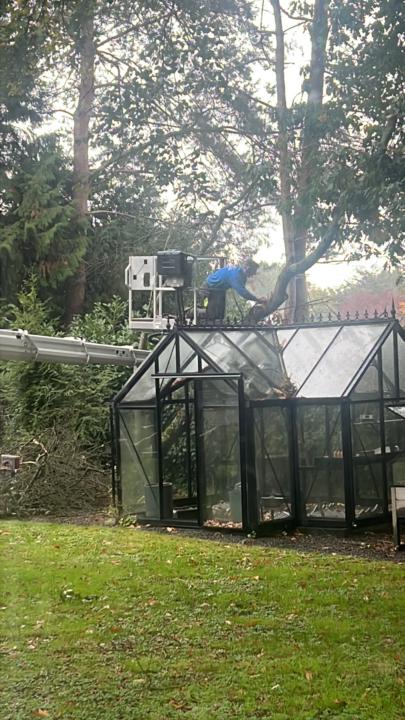 Win of theWeek 101025