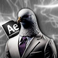 Pigeon Editzz