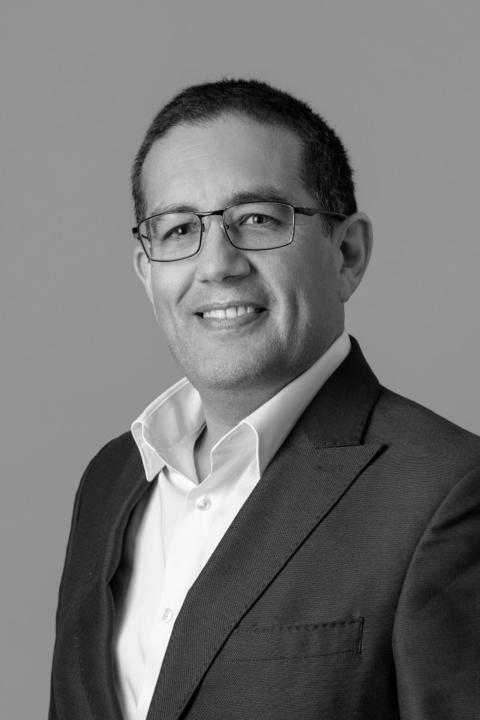 Alonso Mesones