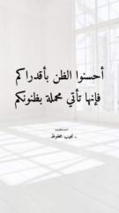 ابويوسف عيد