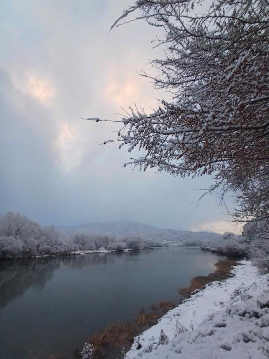 Kim Young-gwan