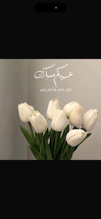 Hanouf AlEnezi
