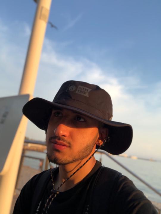 Ray Aria