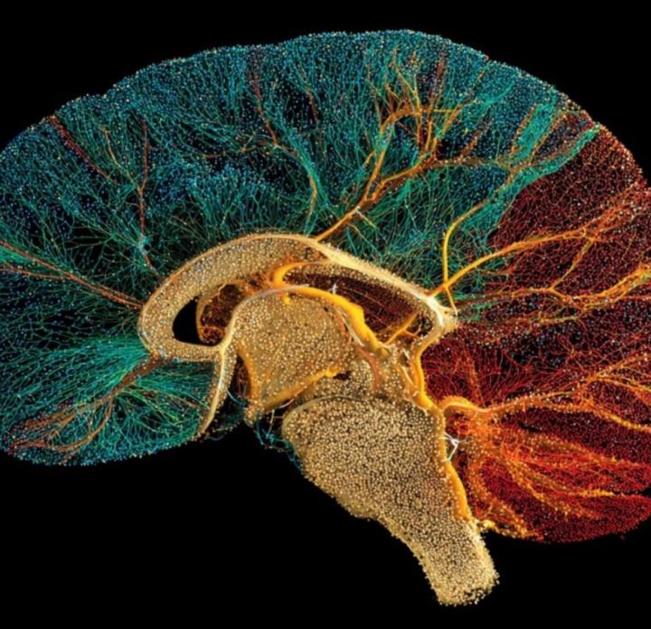 Julia Vera