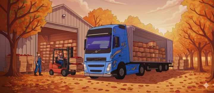 Pavla Zimmermannová