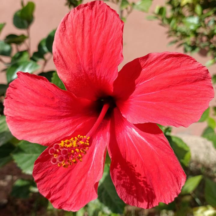 Chantal Blanchot-denis