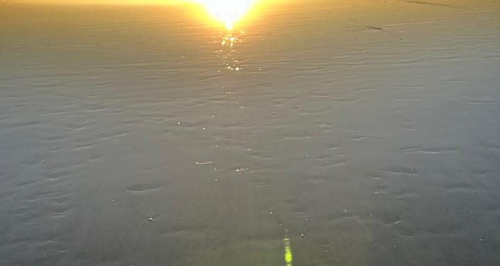 Consciousness awakened