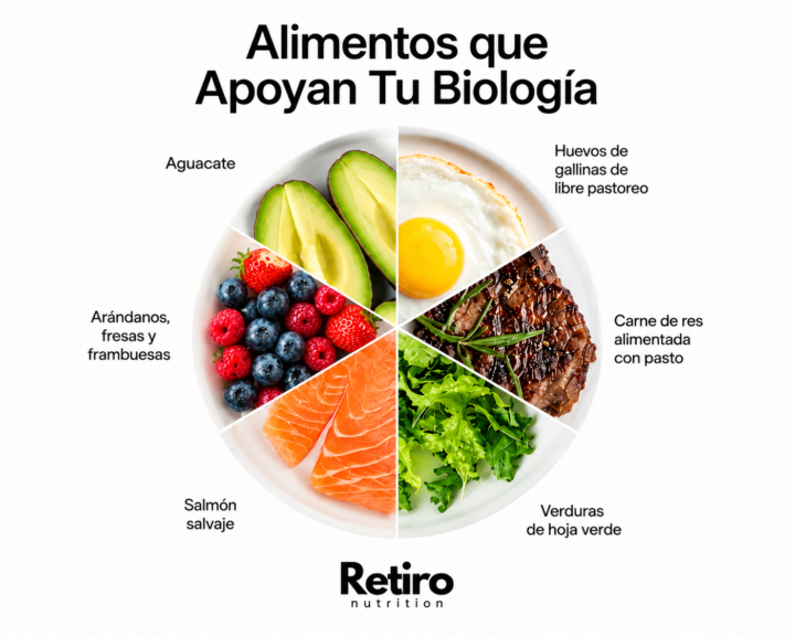 Alimentos que apoyan tu longevidad🧬