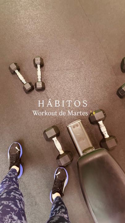 Workout 🏋️ 