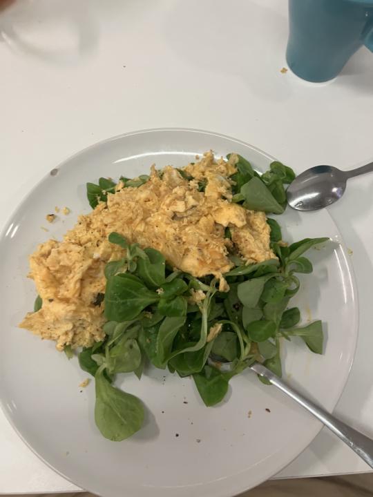 Comida de hoy 