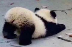 La Dương