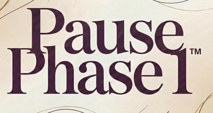 The Pause - Phase 1