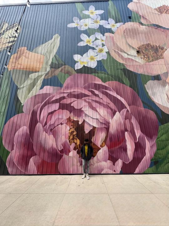 Nishanth G Palaniswami